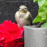 2- Halt auf Ausflug.jpg