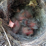 DSC03851 25JUL18b.jpg