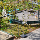 DSC_1177 (1024x678).jpg