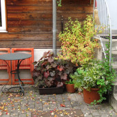 2011-10-06-16.40.26 (1024x768).jpg