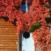 2001-09-30-11.12.24 (Kopie) (768x1024).jpg