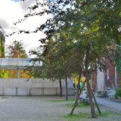 DSC_0964 (1024x670).jpg