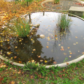 2011-11-05-15.27.05 (1024x768).jpg