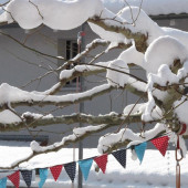 Ho_rnli im Winter2_RispaStephen.JPG