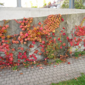 2011-10-26-16.20.47-001 (1024x768).jpg